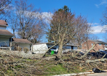 Rain, Wind Highlight Weekend Weather