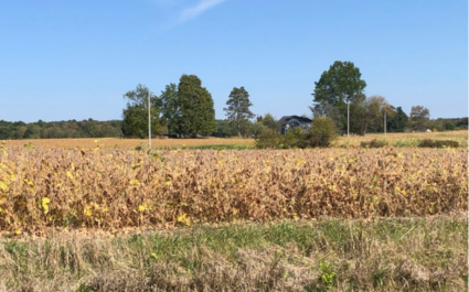 USDA Helps With Local Crop Losses