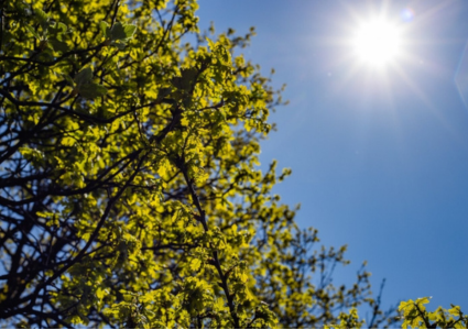 Warmer Weather Coming